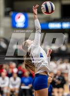 Photo from the gallery "Dixie vs. Provo (UHSAA 4A Tournament)"