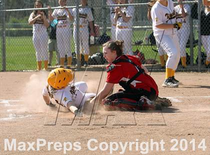 Thumbnail 3 in Franklin @ Titusville photogallery.