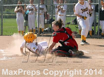Thumbnail 1 in Franklin @ Titusville photogallery.