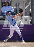 Photo from the gallery "Benicia @ Franklin"