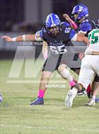 Photo from the gallery "Paradise @ Peaster"