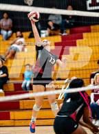 Photo from the gallery "Burbank @ Laguna Creek"