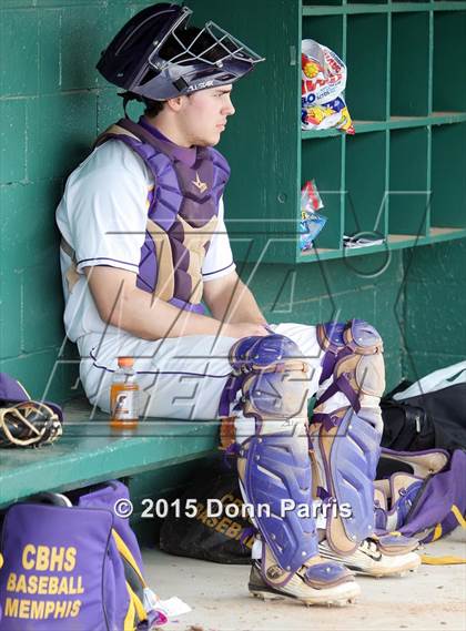 Thumbnail 2 in Ayala vs. Christian Brothers (Anderson Bat National Classic) photogallery.