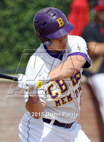 Thumbnail 2 in Ayala vs. Christian Brothers (Anderson Bat National Classic) photogallery.