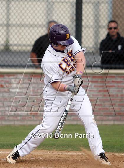 Thumbnail 2 in Ayala vs. Christian Brothers (Anderson Bat National Classic) photogallery.