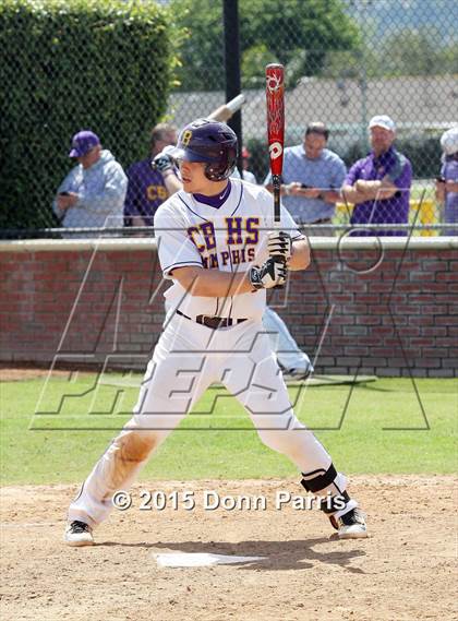 Thumbnail 2 in Ayala vs. Christian Brothers (Anderson Bat National Classic) photogallery.
