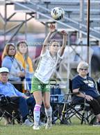 Photo from the gallery "New Castle @ Delta"