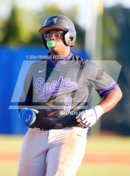 Thumbnail 1 in Spoto @ Sumner photogallery.