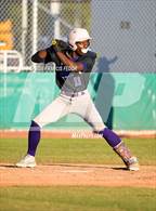 Photo from the gallery "Spoto @ Sumner"