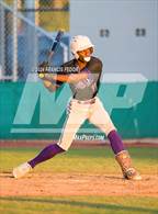 Photo from the gallery "Spoto @ Sumner"