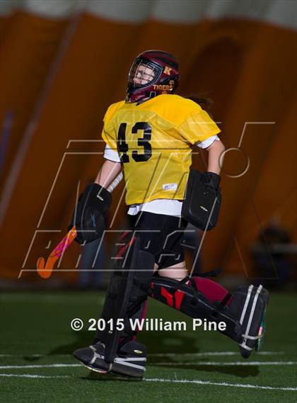 Thumbnail 1 in Pine Bush vs. Kingston (Section 9 Class A Final) photogallery.