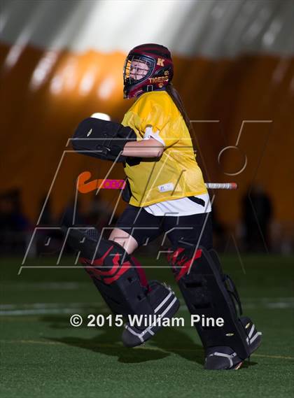 Thumbnail 1 in Pine Bush vs. Kingston (Section 9 Class A Final) photogallery.