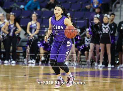 Thumbnail 1 in Millennium vs. Desert Vista - (AIA Division 1 Semifinal) photogallery.
