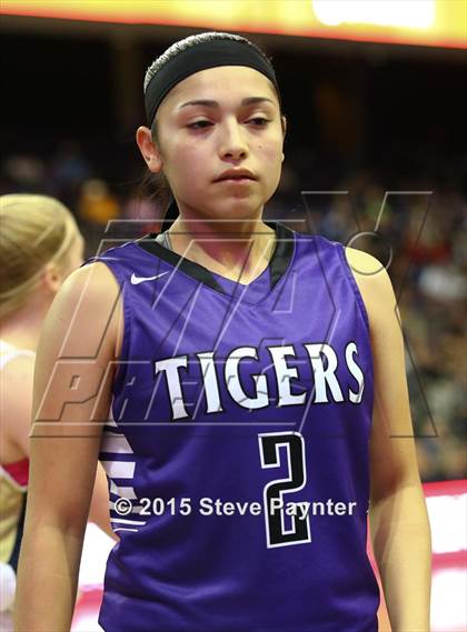 Thumbnail 1 in Millennium vs. Desert Vista - (AIA Division 1 Semifinal) photogallery.
