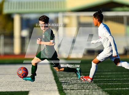 Thumbnail 1 in Arcadia @ Campo Verde photogallery.