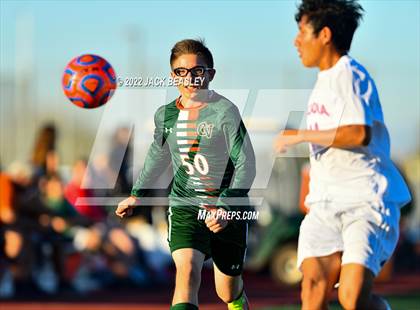 Thumbnail 3 in Arcadia @ Campo Verde photogallery.