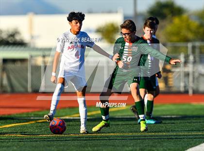 Thumbnail 2 in Arcadia @ Campo Verde photogallery.