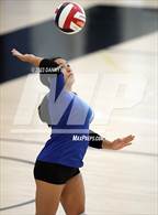 Photo from the gallery "Bishop O'Connell @ Paul VI"