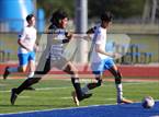 Photo from the gallery "Decatur Eisenhower/MacArthur vs. St. Teresa"