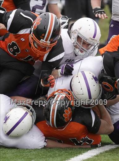 null - Photo 31