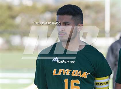 Thumbnail 1 in Live Oak @ Ann Sobrato photogallery.