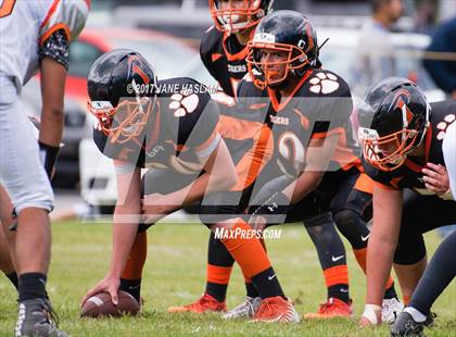 Thumbnail 2 in Dover/Webutuck @ Pawling photogallery.