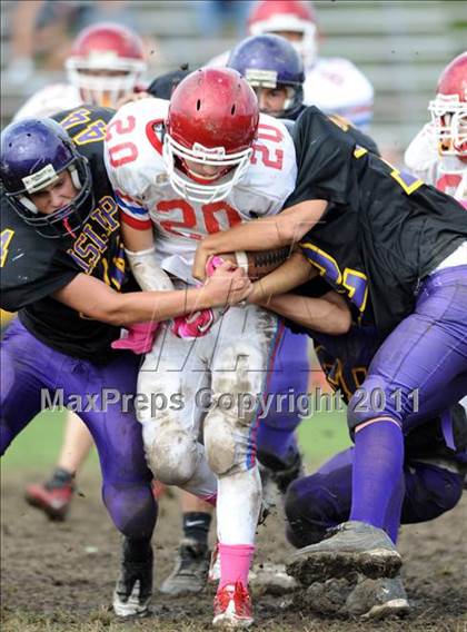 Thumbnail 1 in Bellport @ Islip photogallery.