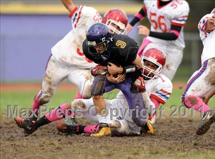 Thumbnail 3 in Bellport @ Islip photogallery.