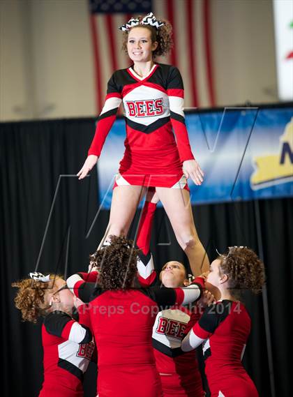 Thumbnail 1 in NYSPHSAA West Cheerleading Championships photogallery.