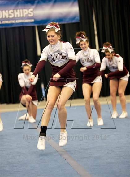 Thumbnail 3 in NYSPHSAA West Cheerleading Championships photogallery.
