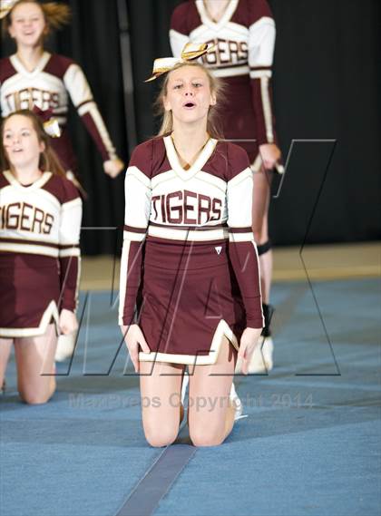 Thumbnail 2 in NYSPHSAA West Cheerleading Championships photogallery.