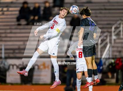 Thumbnail 3 in Edison @ Chantilly photogallery.