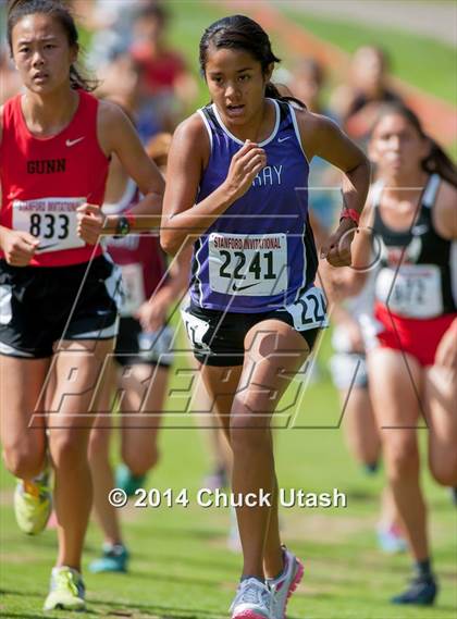 Thumbnail 1 in Stanford Invitational Girls 5K Division 1 Race photogallery.