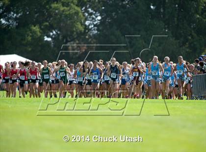 Thumbnail 1 in Stanford Invitational Girls 5K Division 1 Race photogallery.