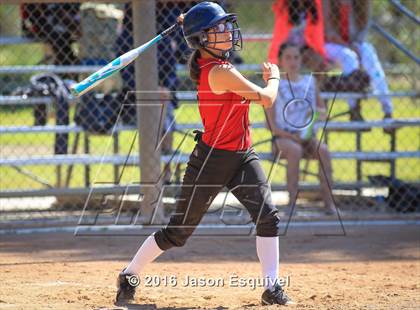 Thumbnail 1 in Troy vs. Samueli Academy photogallery.