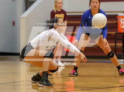 Thumbnail 1 in Wolfe City @ Collinsville photogallery.