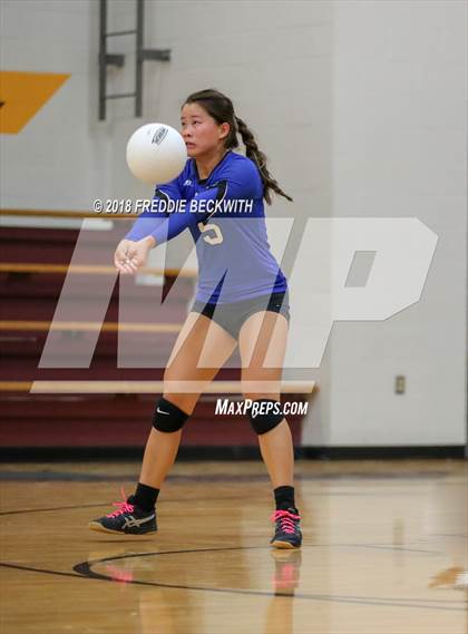 Thumbnail 3 in Wolfe City @ Collinsville photogallery.