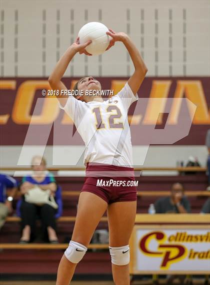 Thumbnail 2 in Wolfe City @ Collinsville photogallery.