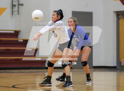 Thumbnail 1 in Wolfe City @ Collinsville photogallery.
