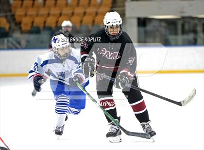 Thumbnail 1 in Millburn vs Park Regional [Hanover Park/Whippany Park] photogallery.