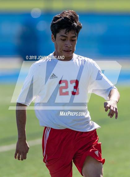 Thumbnail 1 in Palatine @ Lake Forest (IHSA 3A Regional Quarterfinal) photogallery.