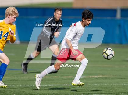 Thumbnail 2 in Palatine @ Lake Forest (IHSA 3A Regional Quarterfinal) photogallery.