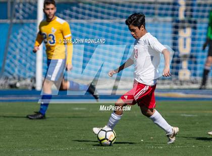 Thumbnail 2 in Palatine @ Lake Forest (IHSA 3A Regional Quarterfinal) photogallery.