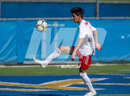Thumbnail 1 in Palatine @ Lake Forest (IHSA 3A Regional Quarterfinal) photogallery.