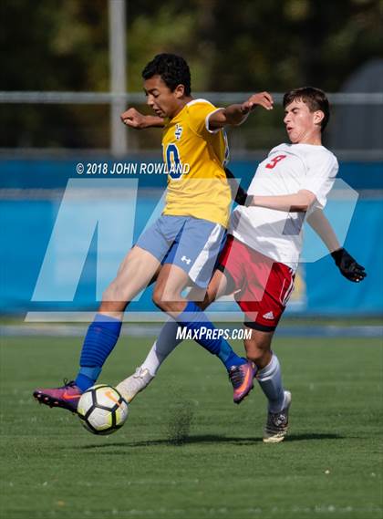 Thumbnail 3 in Palatine @ Lake Forest (IHSA 3A Regional Quarterfinal) photogallery.