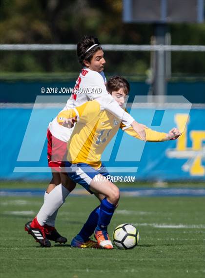 Thumbnail 3 in Palatine @ Lake Forest (IHSA 3A Regional Quarterfinal) photogallery.