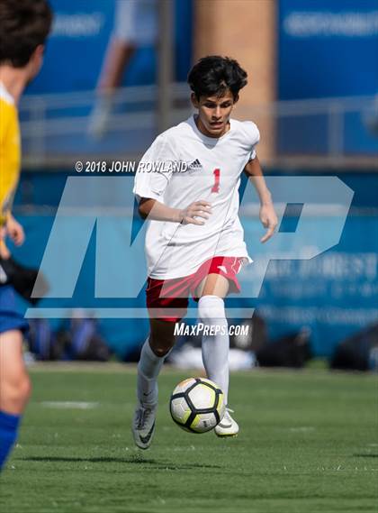 Thumbnail 1 in Palatine @ Lake Forest (IHSA 3A Regional Quarterfinal) photogallery.