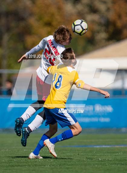 Thumbnail 3 in Palatine @ Lake Forest (IHSA 3A Regional Quarterfinal) photogallery.