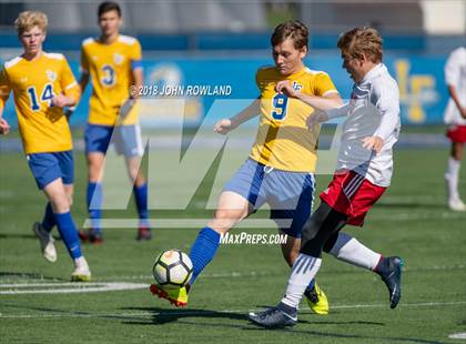 Thumbnail 3 in Palatine @ Lake Forest (IHSA 3A Regional Quarterfinal) photogallery.