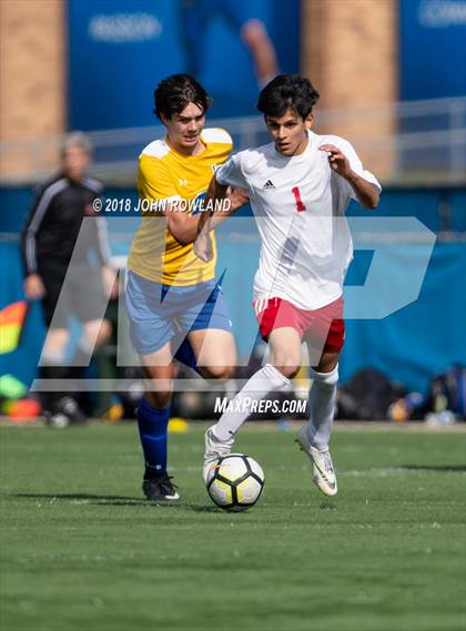 Thumbnail 2 in Palatine @ Lake Forest (IHSA 3A Regional Quarterfinal) photogallery.